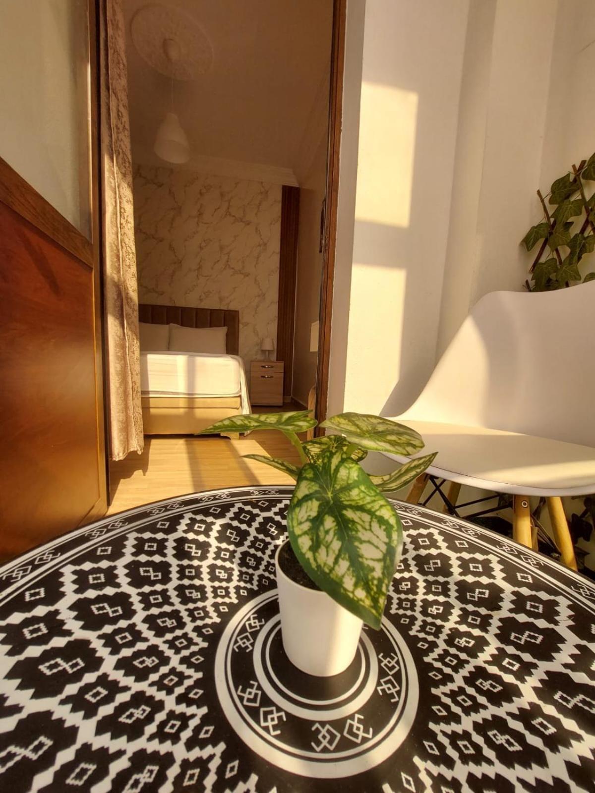 Charite Host Appartement , Wifi Et Parking Gratuit Agadir Zewnętrze zdjęcie